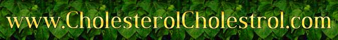 www.cholesterolcholestrol.com title image for Cholesterol Diet, Natural Cholesterol Treatment and Cholesterol Drugs