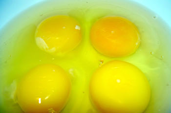 Egg yolk is very high in cholesterol, but the egg white is cholesterol free