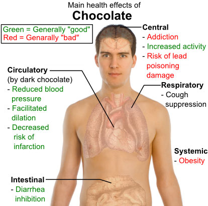 Saturated Fat Molecule. Why is the saturated fat in