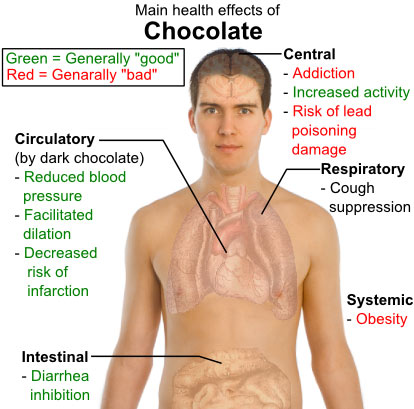Other health effects of chocolate
